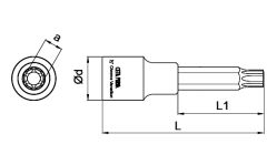 CETA FORM 1/2''Torx Uçlu Lokma Uzun Tip T20