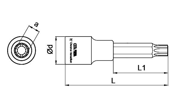 CETA FORM 1/2''Torx Uçlu Lokma Uzun Tip T55