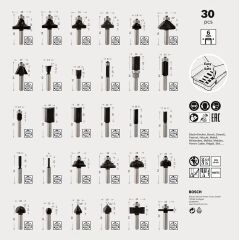Bosch 2607017474 Ahşap Freze Uç Seti 30 Parça 6 mm Sap